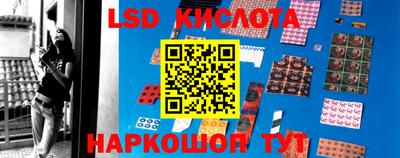 спиды Новоалександровск