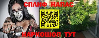 прущие грибы Нижний Тагил