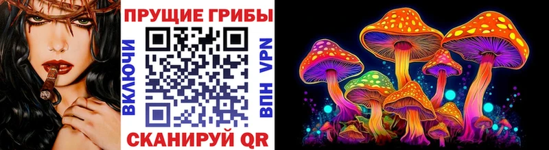 Псилоцибиновые грибы прущие грибы Волжский