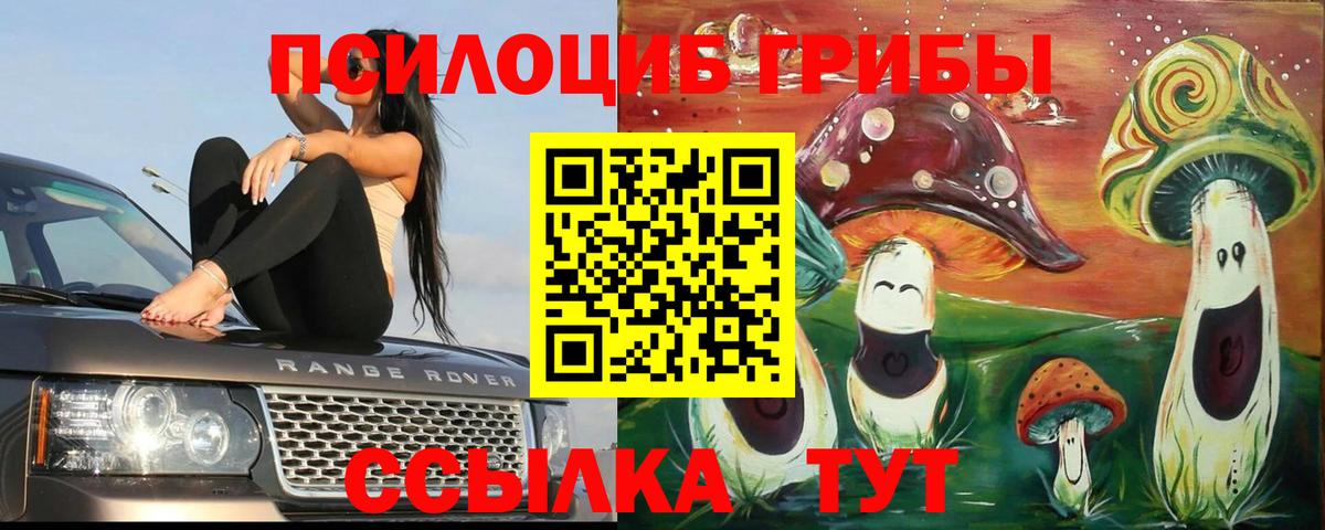 Волжский  Псилоцибиновые грибы мицелий  Вход с VPN 